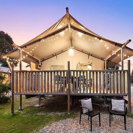 Scamander Sanctuary Holiday Park ภายนอก รูปภาพ