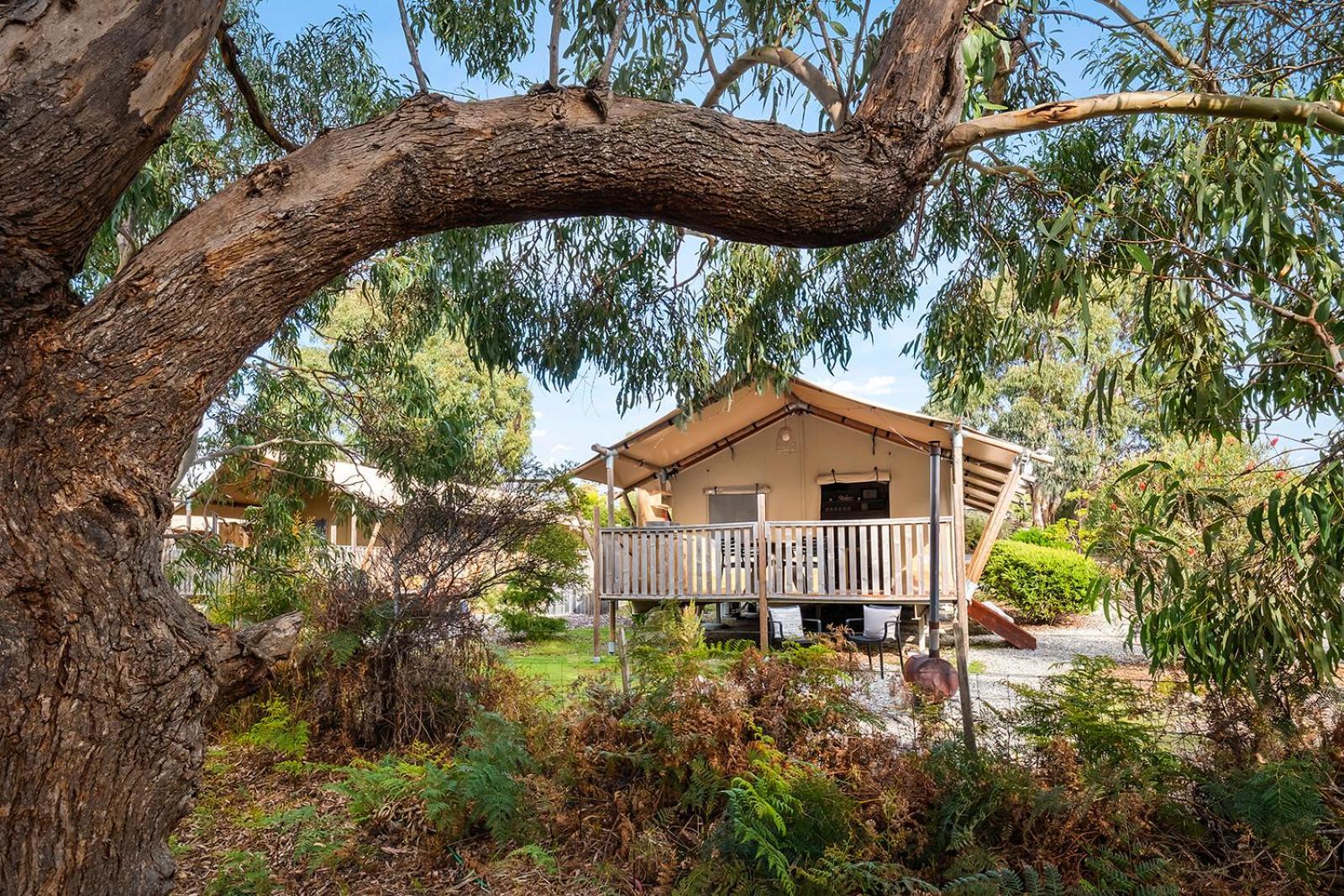 Scamander Sanctuary Holiday Park ภายนอก รูปภาพ